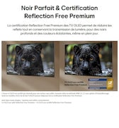 La LG OLED evo AI G6 avec Reflection Free Premium montre une comparaison côte à côte avec un écran mat anti-glare, maintenant l’image de jaguar noir claire avec des noirs profonds et une texture fine, en particulier dans les environnements lumineux, avec une marque de certification Intertek affichée.